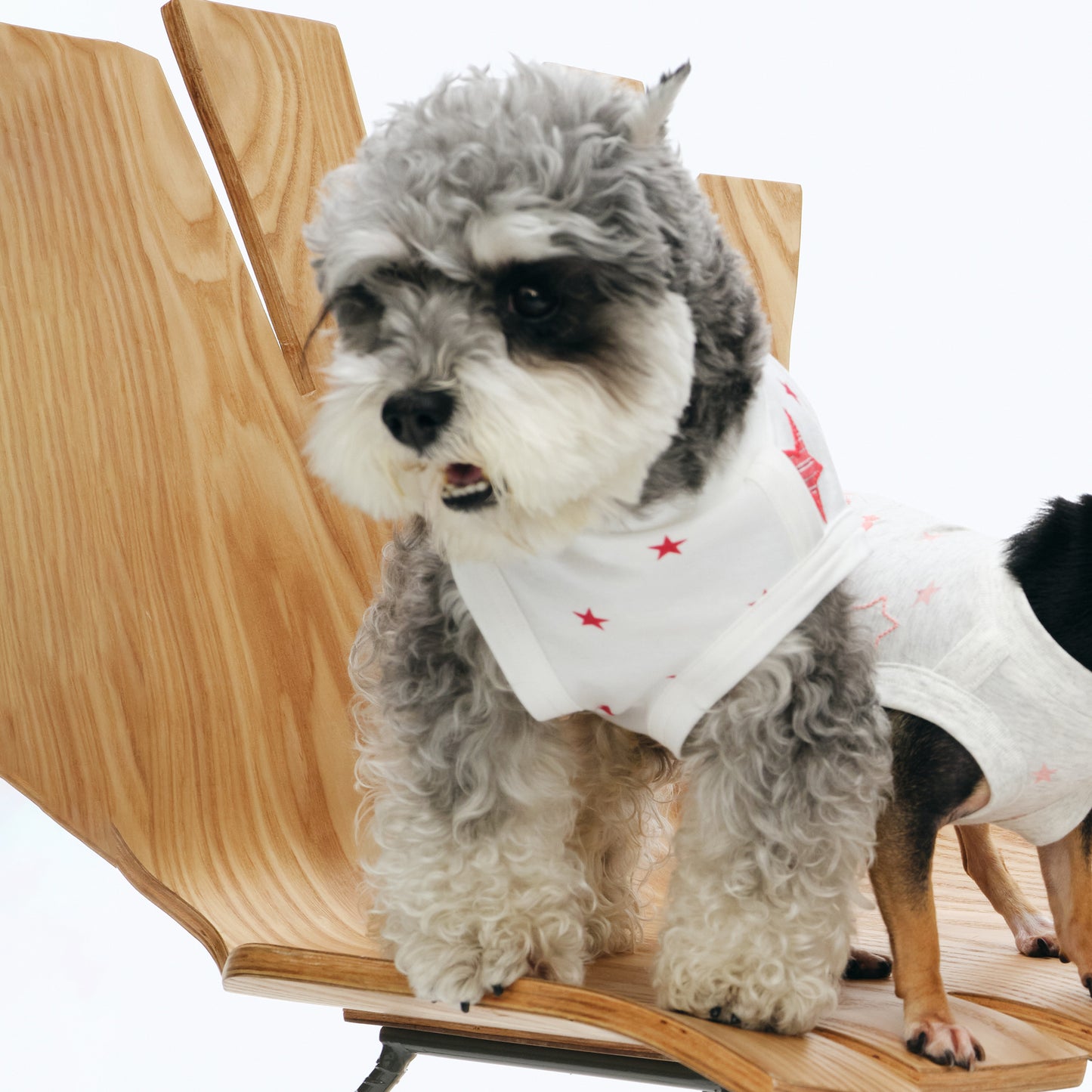 NewJNXS All-Star Cooling Fitted Tee Set&Pet Tee